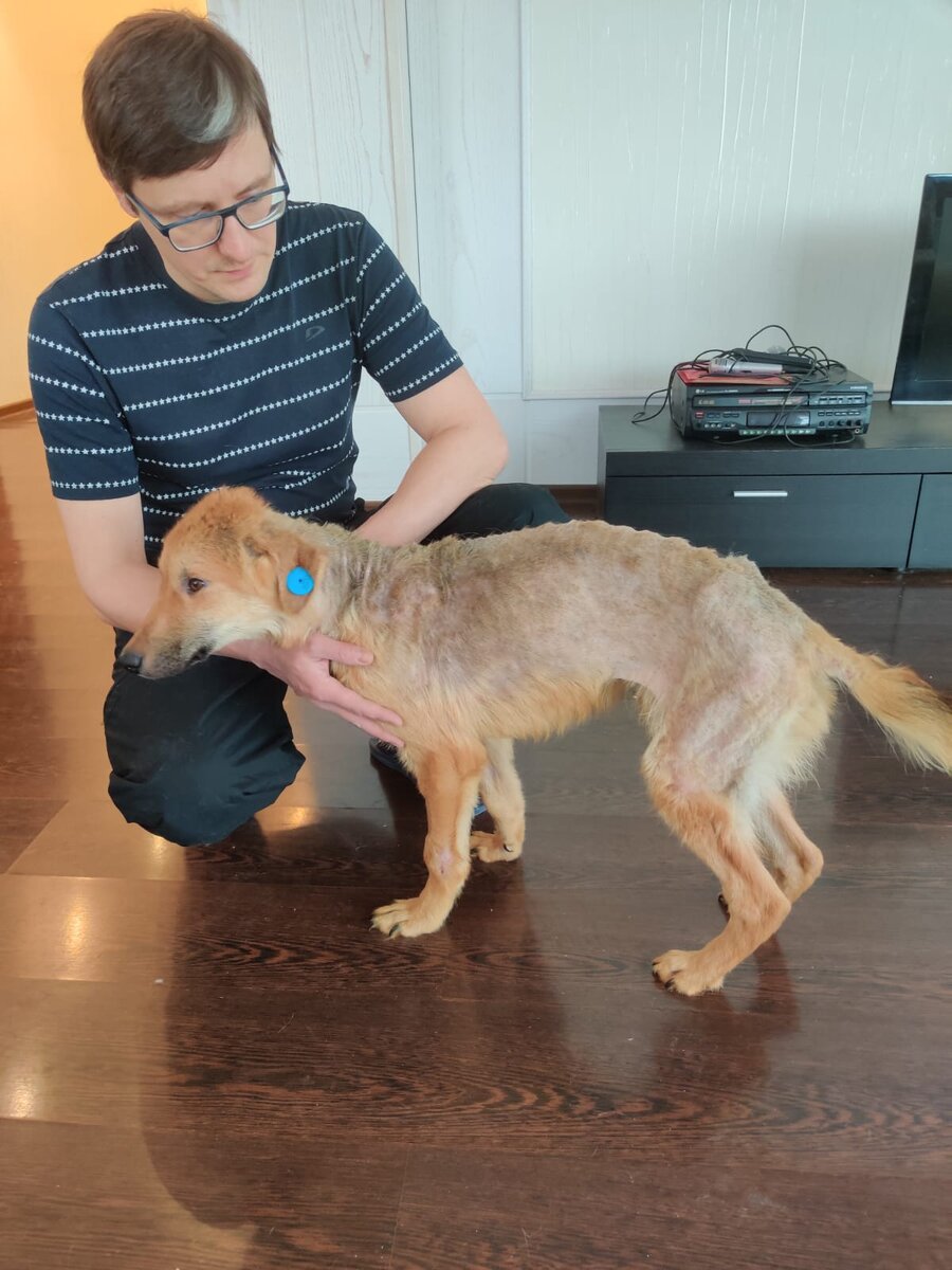 Феня в начале лечения