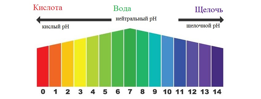 Кислотная или щелочная среда?