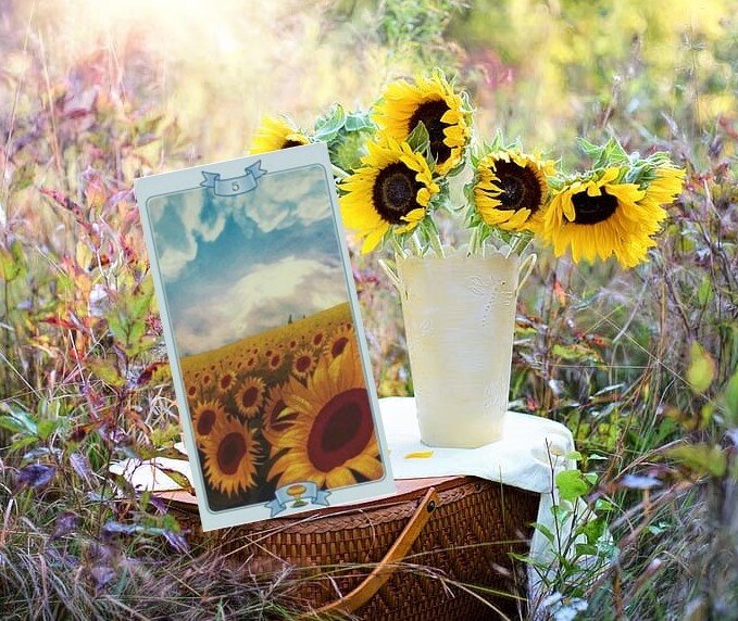 5 кубков Закон притяжения