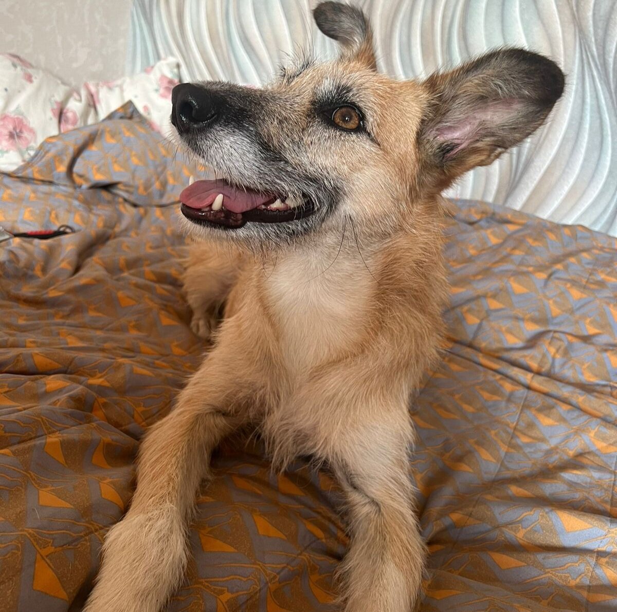 Она повеселела