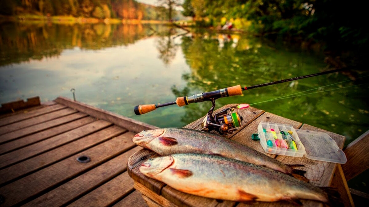 Как ловить много на спиннинг в условиях сильного течения. Советы опытных рыбаков