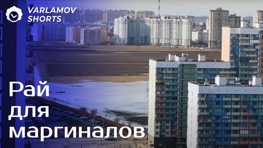 Огромные муравейники в полях