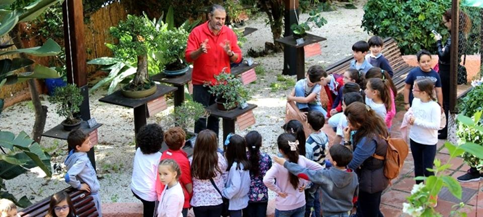 Источник: https://europatropical.net/2016/05/17/el-jardin-museo-del-bonsai-de-almunecar-se-acerca-a-los-escolares-sexitanos-con-visitas-guiadas/