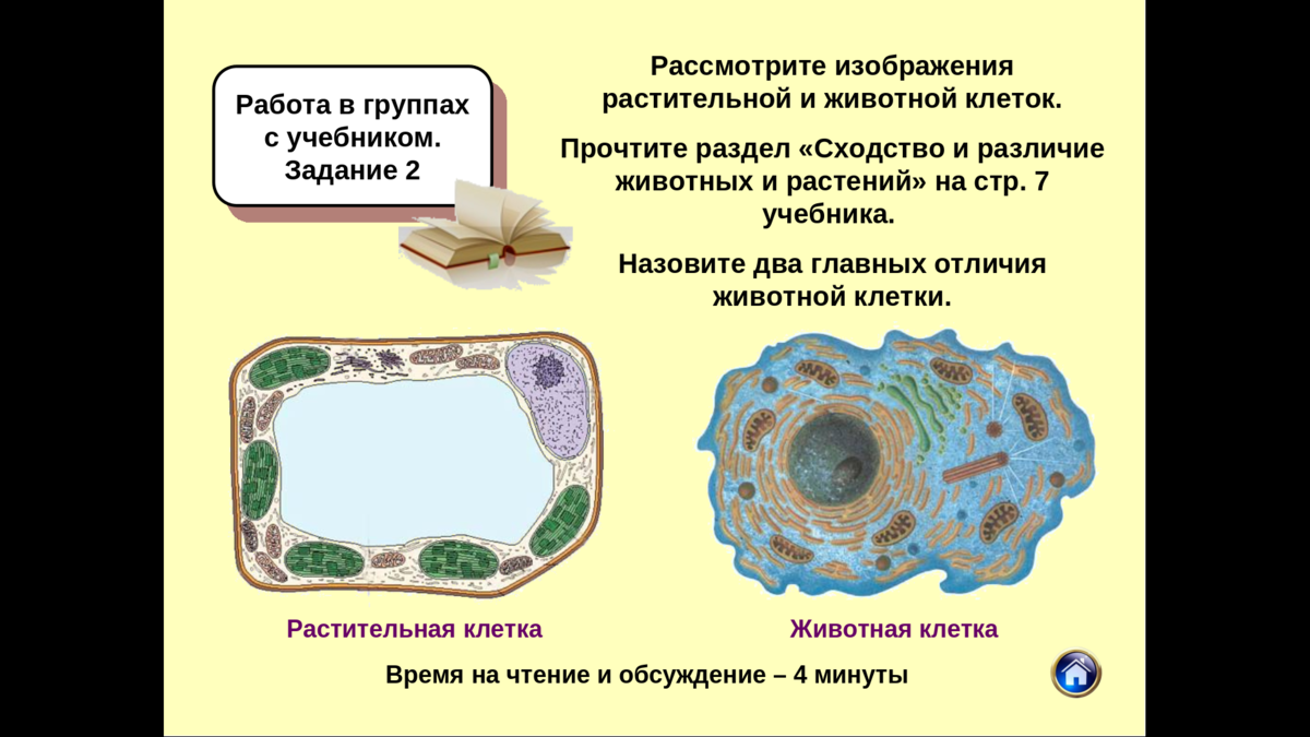 Урок в 7 классе (зоология). Кто такие животные. Проводим границу между  животными и растениями | Елена Сова: пуд соли в школе | Дзен