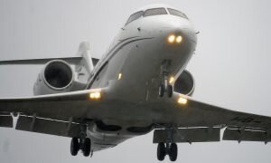    Фото: wikimedia commons / Artem Katranzhi from Bakashikha, Russia, CC BY-SA 2.0 Андрей Марков