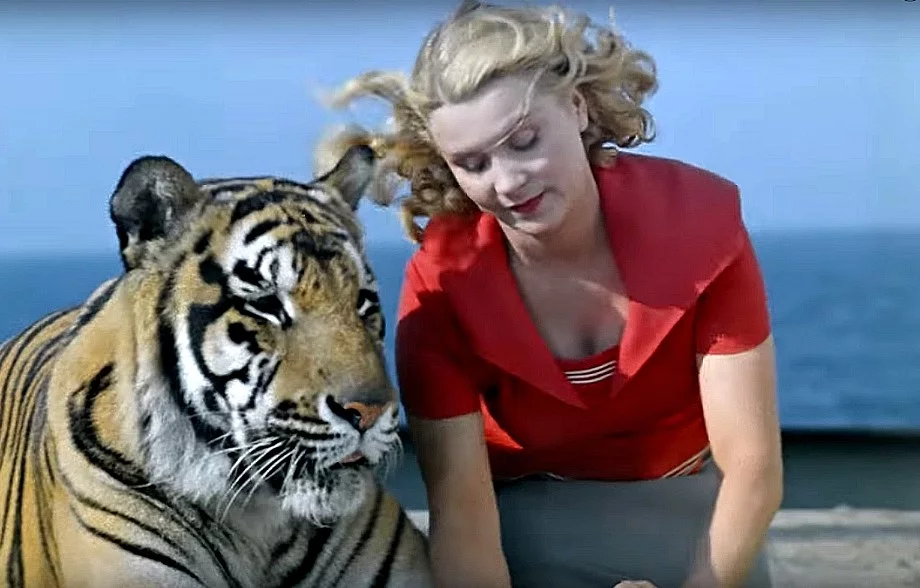 Поговорите до того, как обиженная сторона заведет себе тигра или кого похлеще. Фото с сервиса Яндекс.Картинки