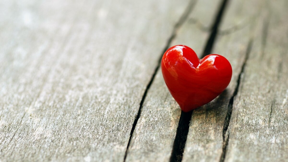 Фото: http://wallpaperswide.com/one_heart-wallpapers.html