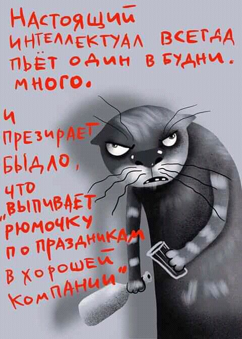 Не будь как котик)