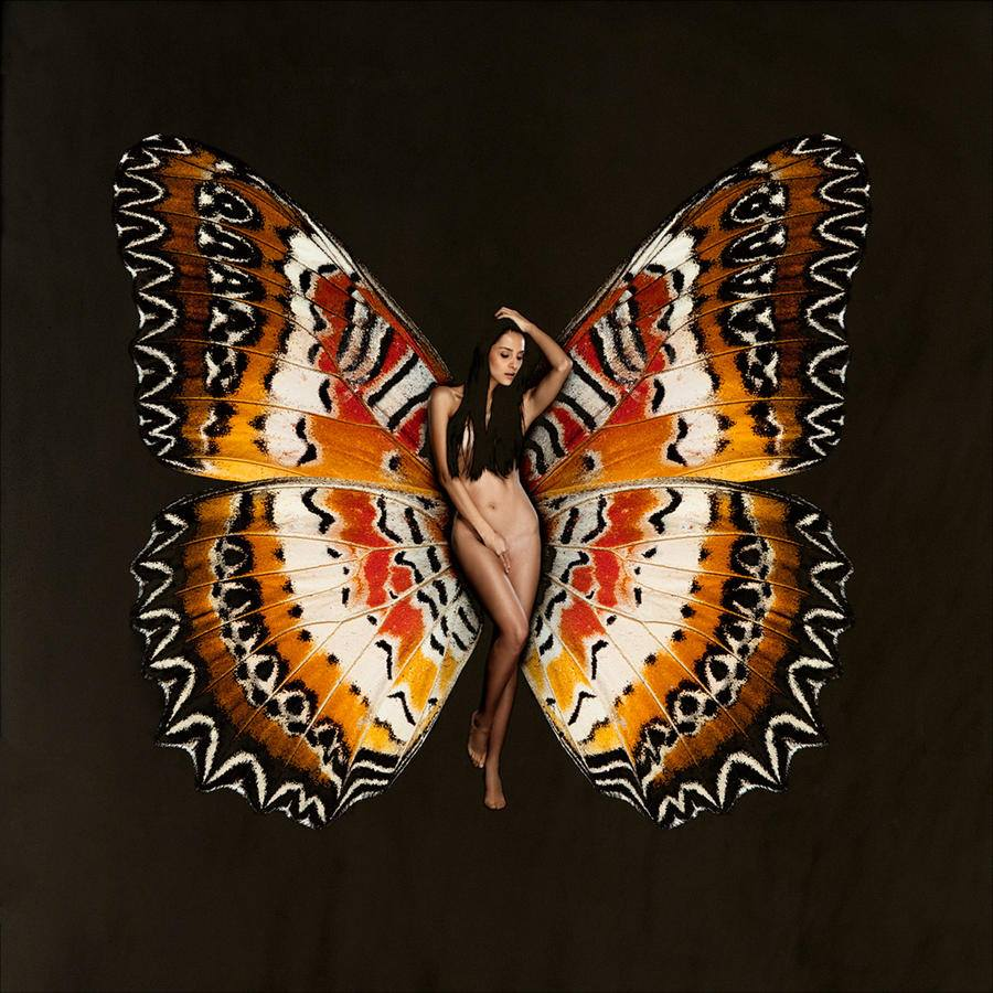 Chocolate butterfly nude