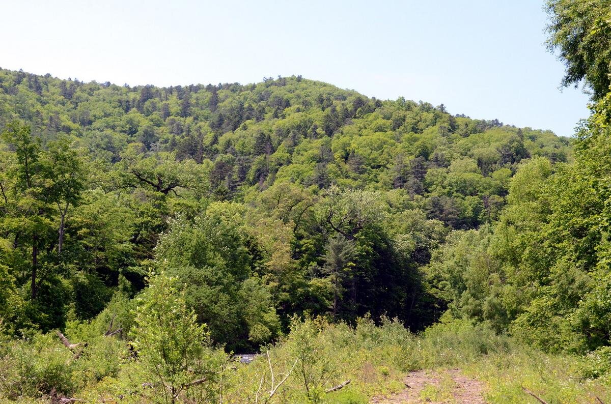 АВТОР СТАТЬИ: МИХАИЛ КРЕЧМАР