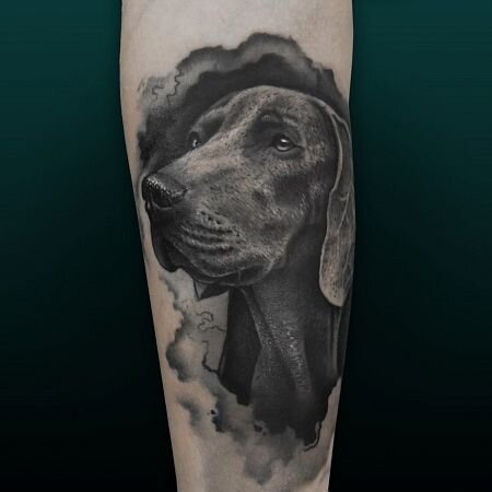 Милый таксёныш