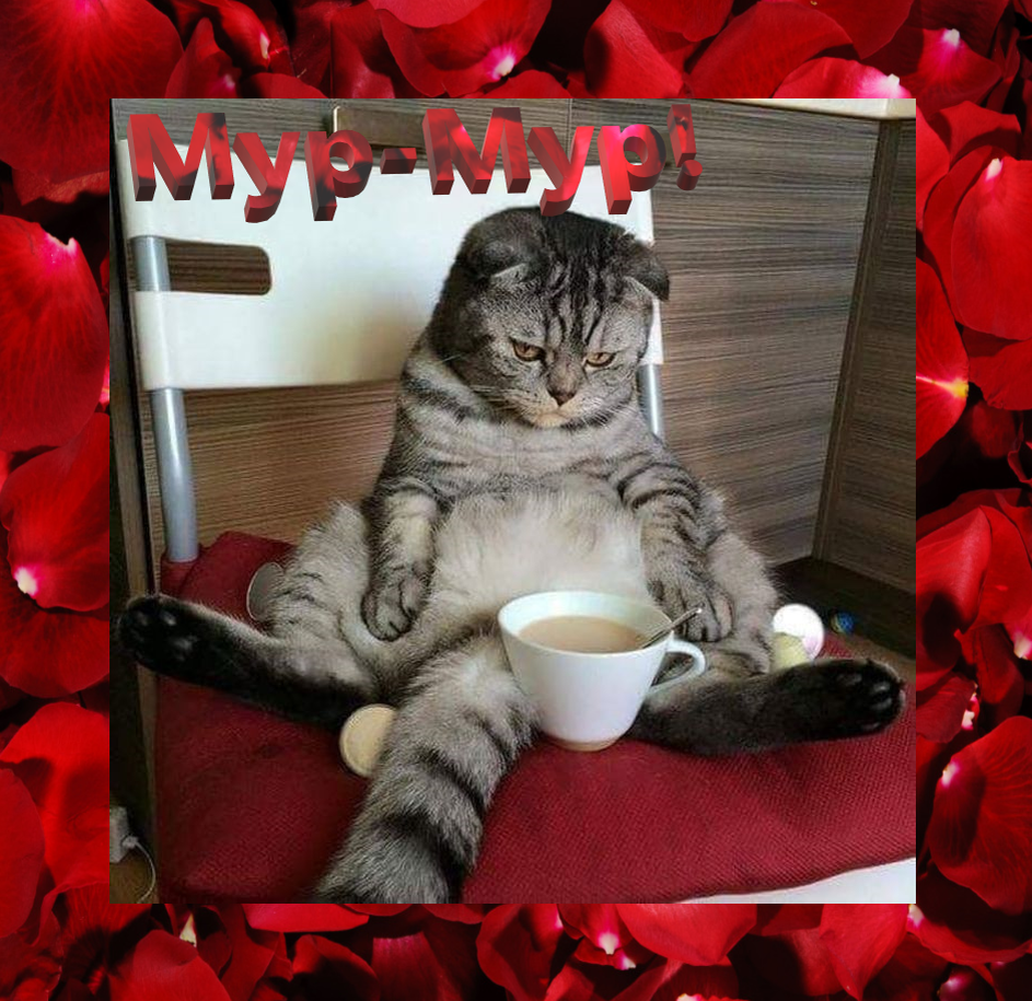 Утренний кофе.