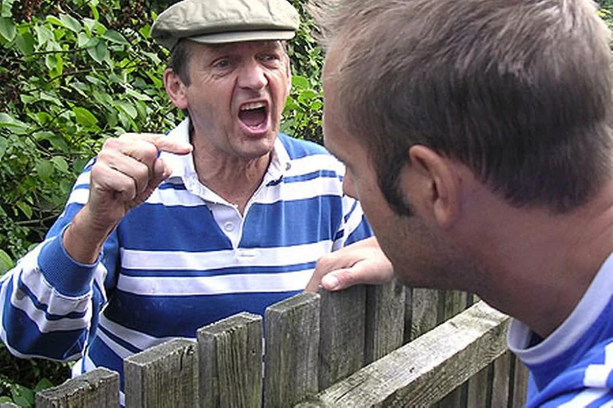 яндекс-картинки