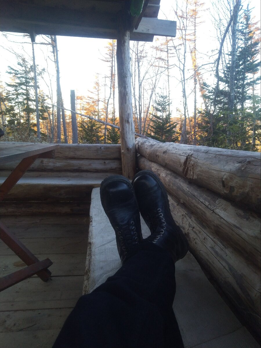 Только наедине с самим собой можно услышать о чём шепчутся деревья.