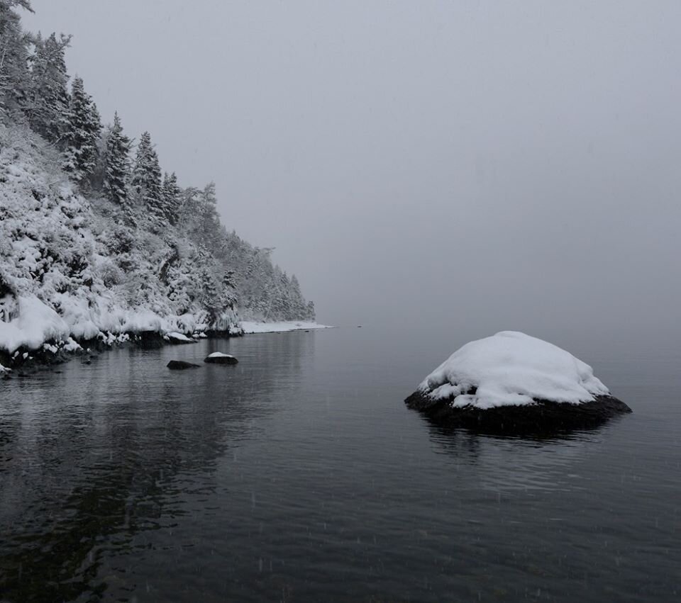 Начало снегопада. Автор фото Усик С.