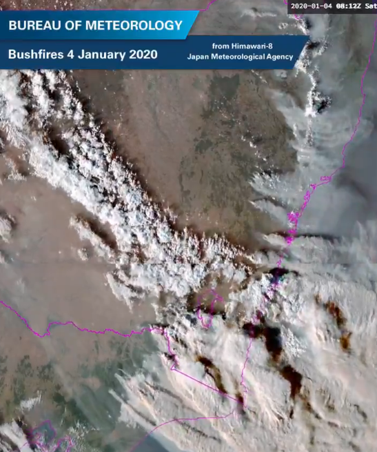 Леса Австралии скрылись под тучами дыма.