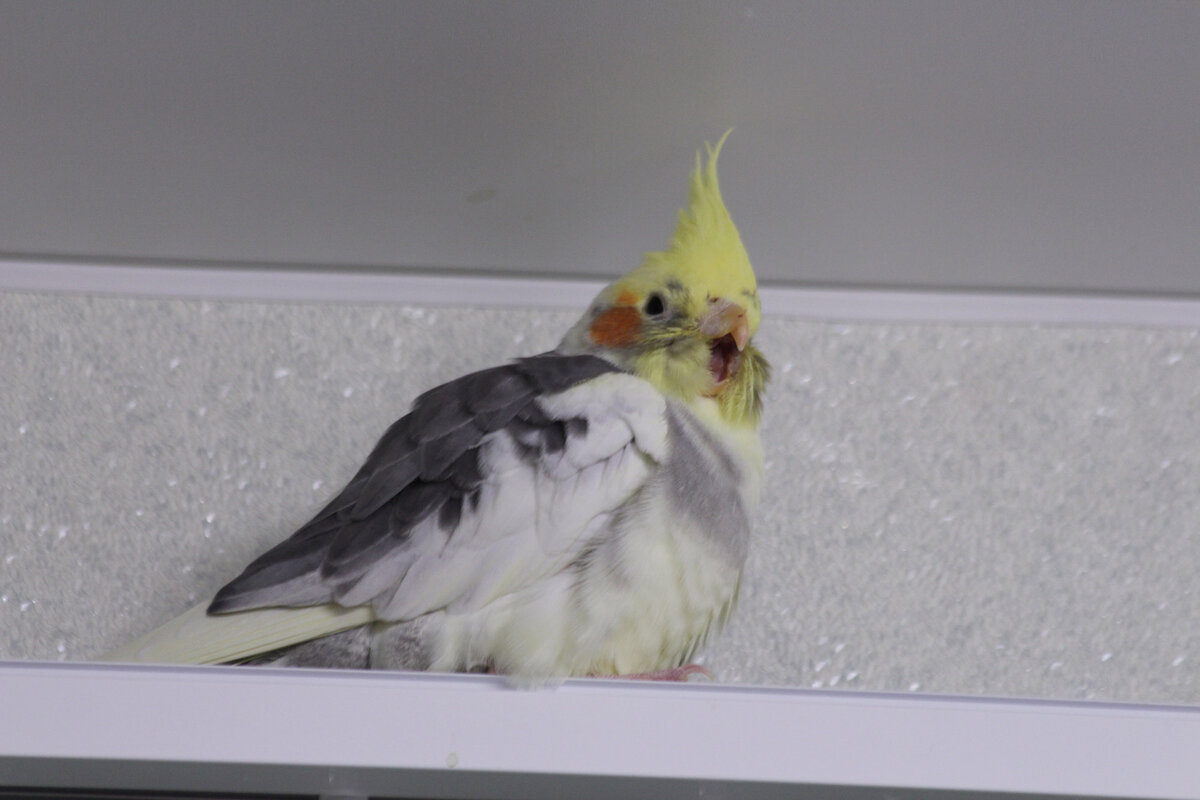 Мы это называем несанкционированной генерацией чёрных дыр. Фото автора.