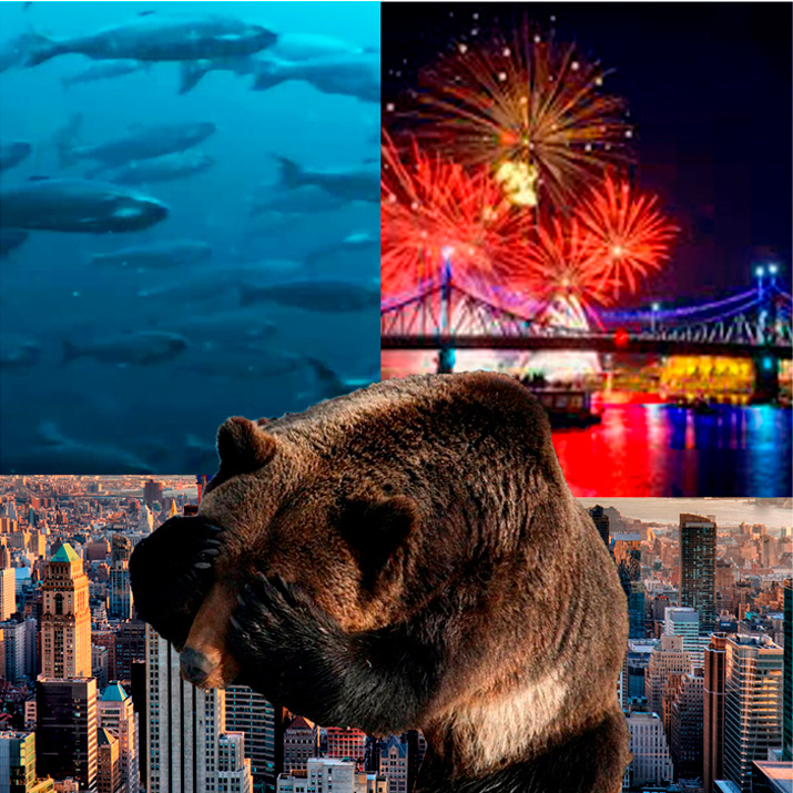 Куда поехать?