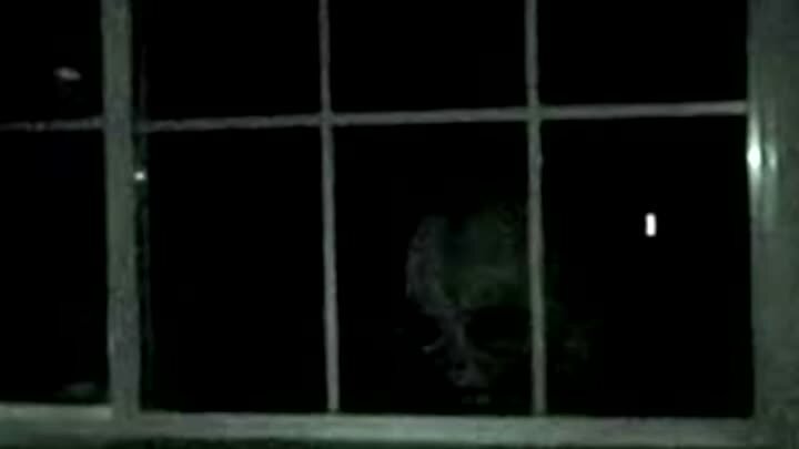 Изображение взято из открытых источников.