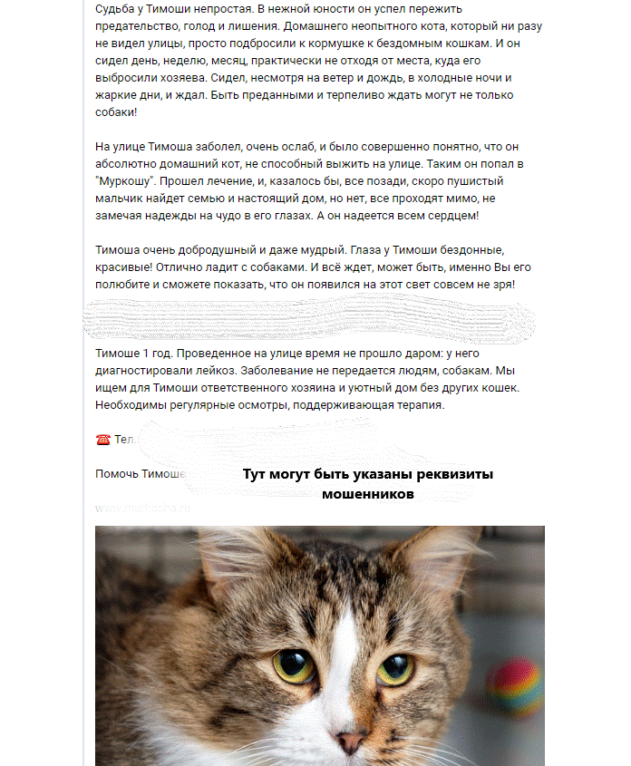 Пример мошеннического поста, манипулирующего вашими чувствами