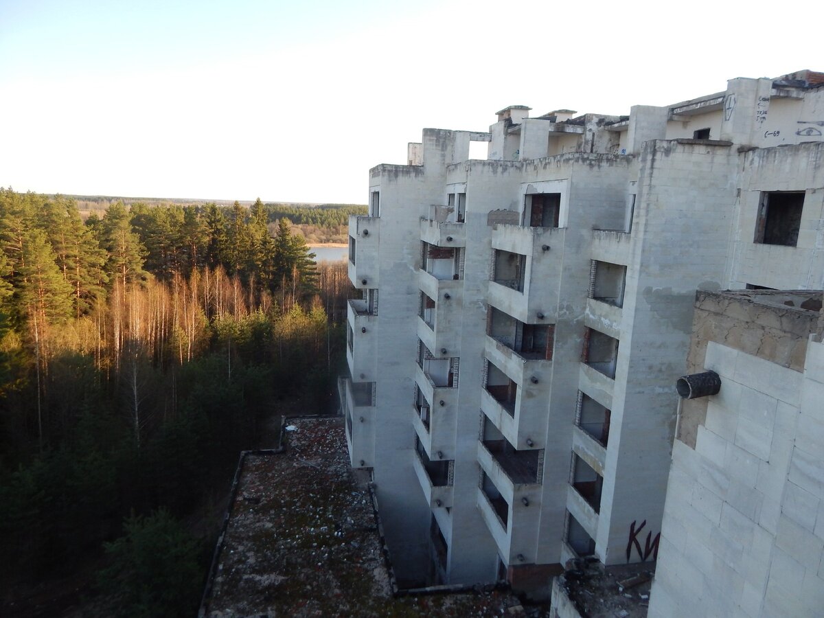 Поражающая сознание находка в лесу. | С рюкзаком за спиной. | Дзен