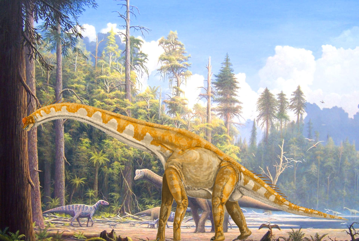 Самый травоядный динозавр. Гигантозавр зауропод. Зауроподы Юрского периода. Травоядные динозавры зауроподы. Зауропод динозавр.