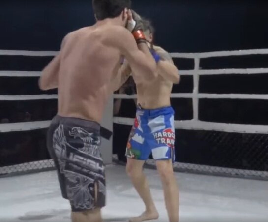 из открытых источников