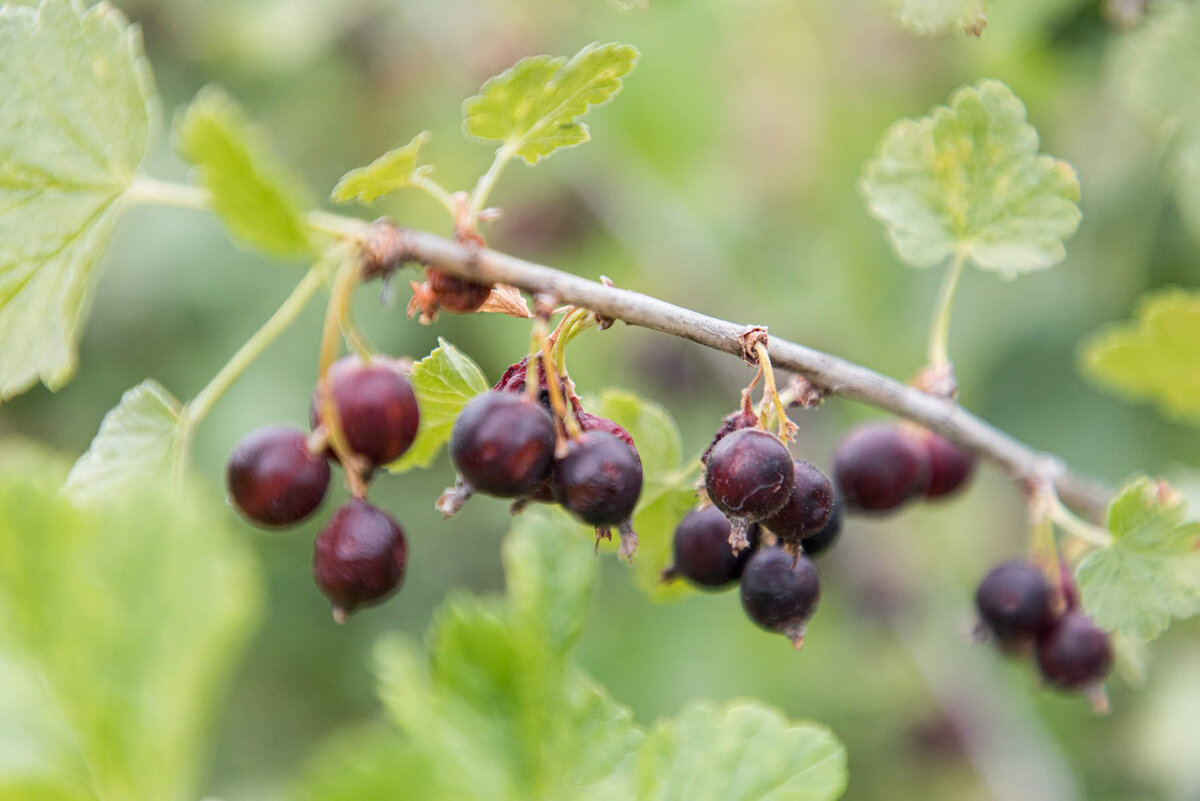 © Фото: ИД «Волгоградская правда»