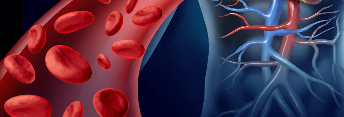 Заболевание крови вен. Заболевания крови и органов кроветворения.