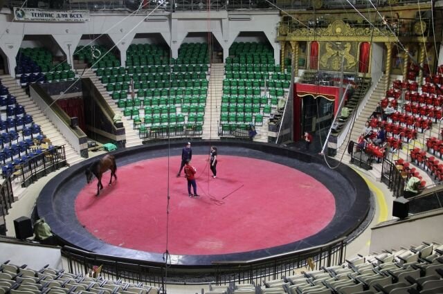 Цирки закрываются из-за эпидемии короновируса