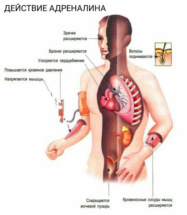 Изображение с сайта econet.ru