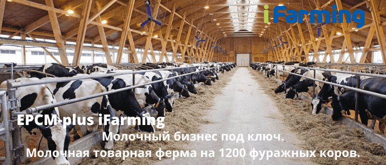 Сельскохозяйственный бизнес по производству сырого коровьего молока под ключ: "Строительство молочно-товарной фермы (комплекса) на 1200 фуражных голов коров".