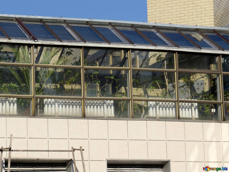 Источник фото