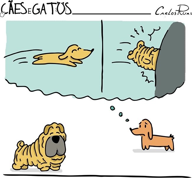 В мыслях у собаки есть только её порода!!