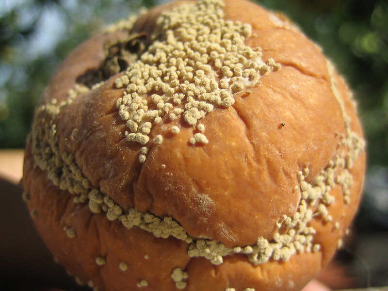 Изображение взято с https://www.flickr.com