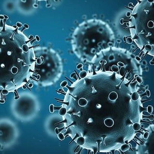 Фото взято из Яндекс картинок 