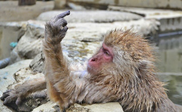 Фото: trvlog.com