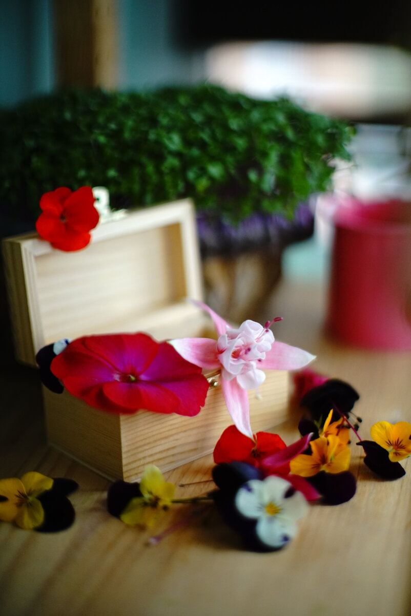 съедобные цветочки виола, пеларгония и фуксия