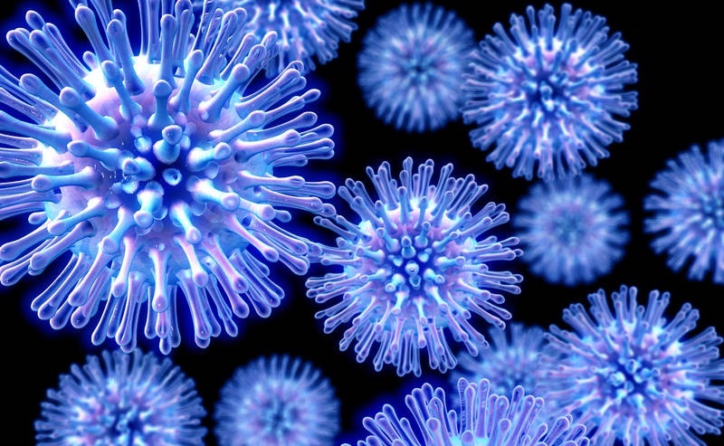 Вирус гриппа H1N1. 