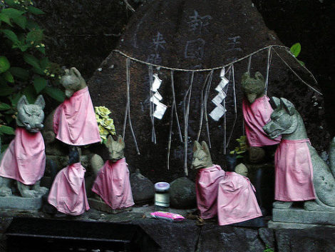 Фото из интернета.