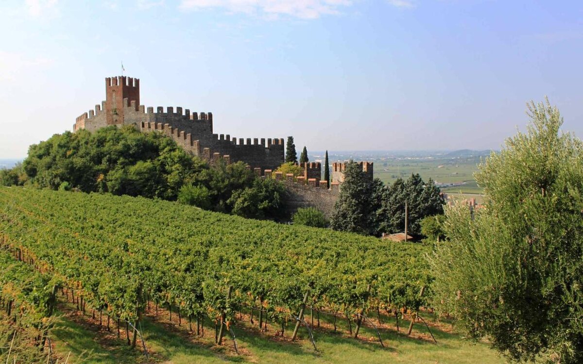 Тот самый Soave Castle
