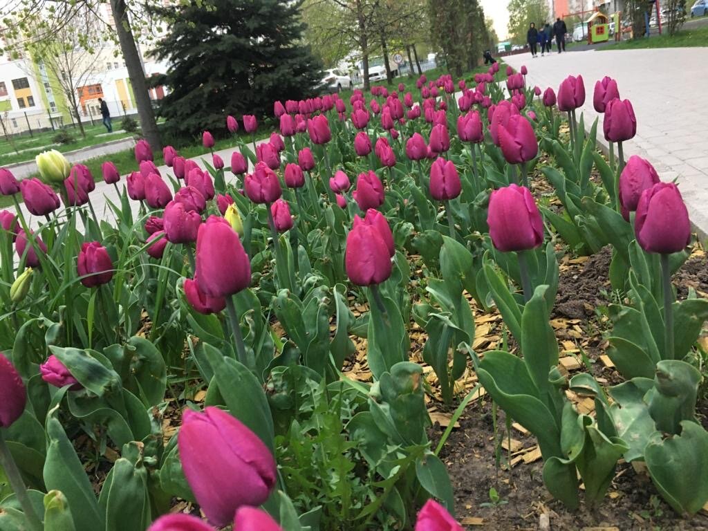 При этой активности, которая явно её заедает, практической пользы она не приносит вообще никакой!