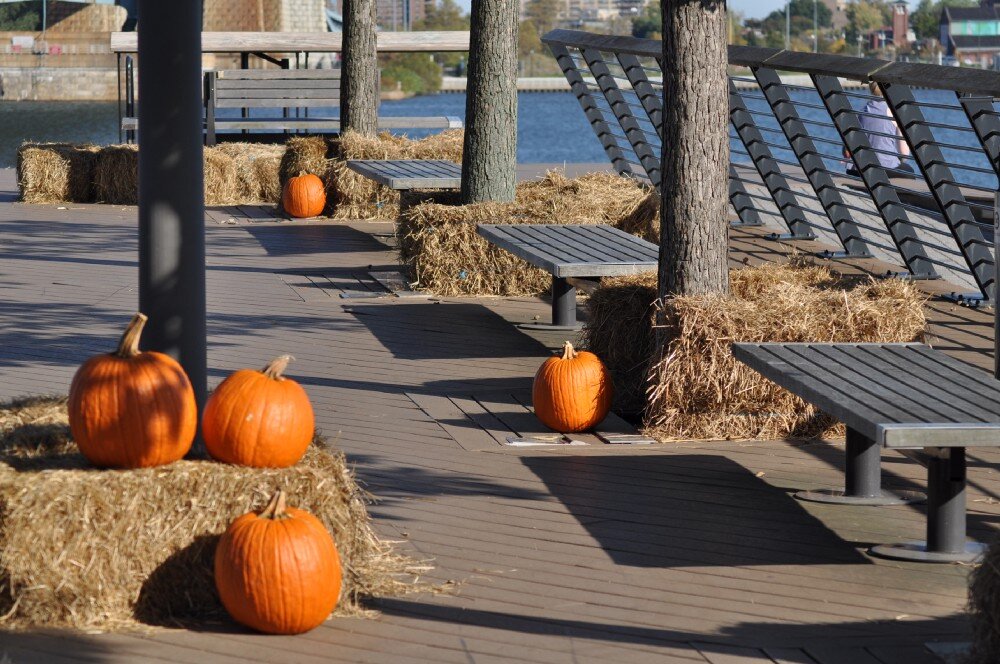 Тыквы на пирсе.