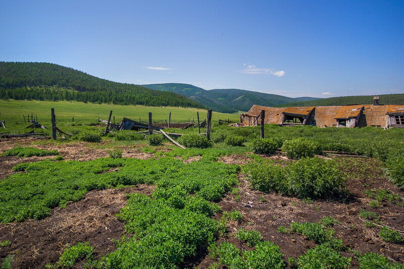 Байкал: Заброшенная ферма на острове Ольхон