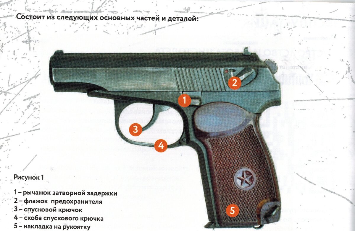 Специальность пм