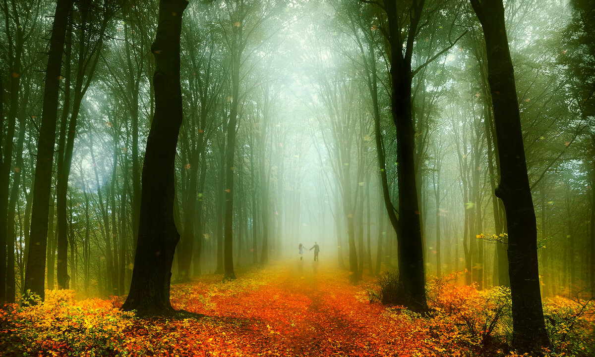 Изображение из свободного доступа интернет