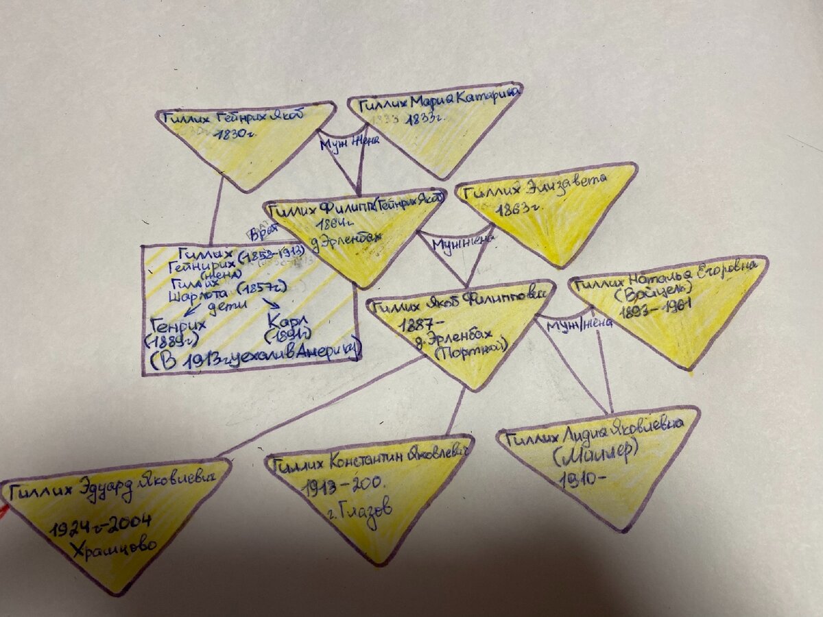 Первый вариант моего древа 