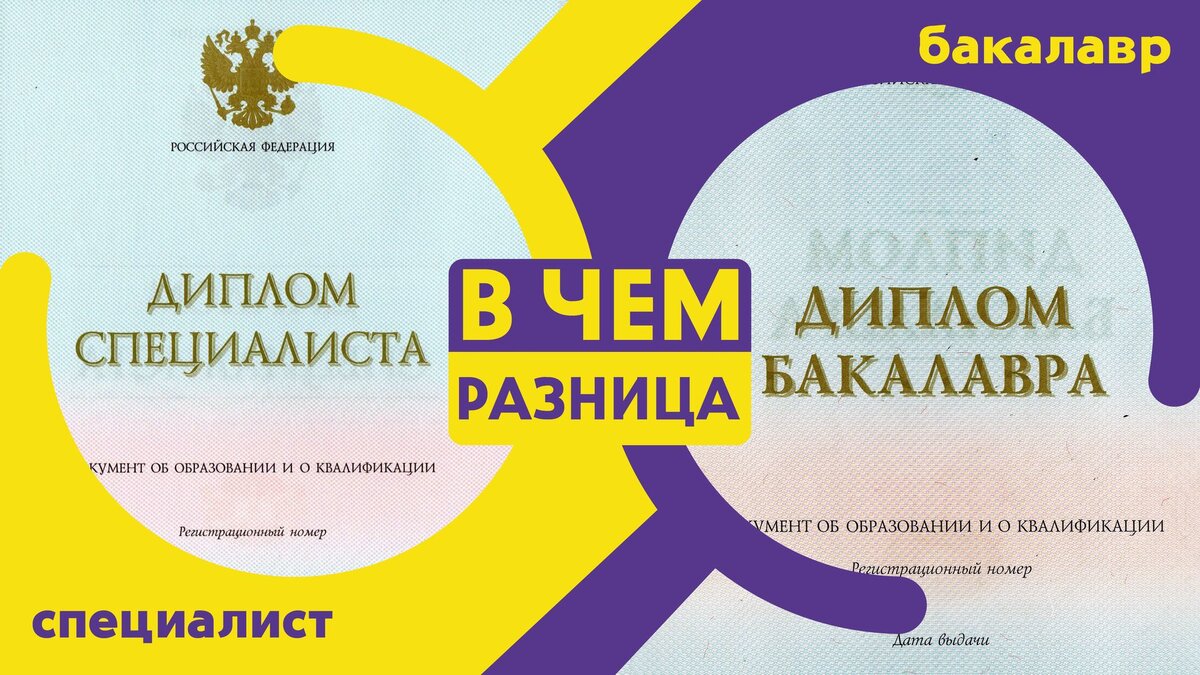 Коллаж чем отличается диплом специалиста от диплома бакалавра. Собственная обработка. Фото из открытых источников.