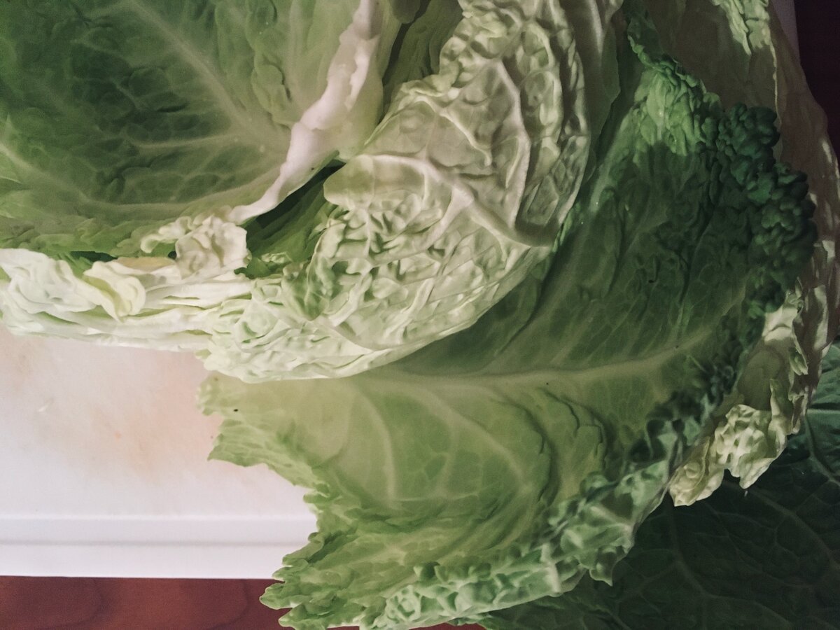 Фото: Piano Piano (важно использовать именно савойскую капусту)