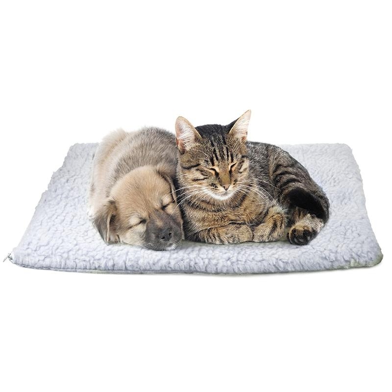 Фото из свободных источников